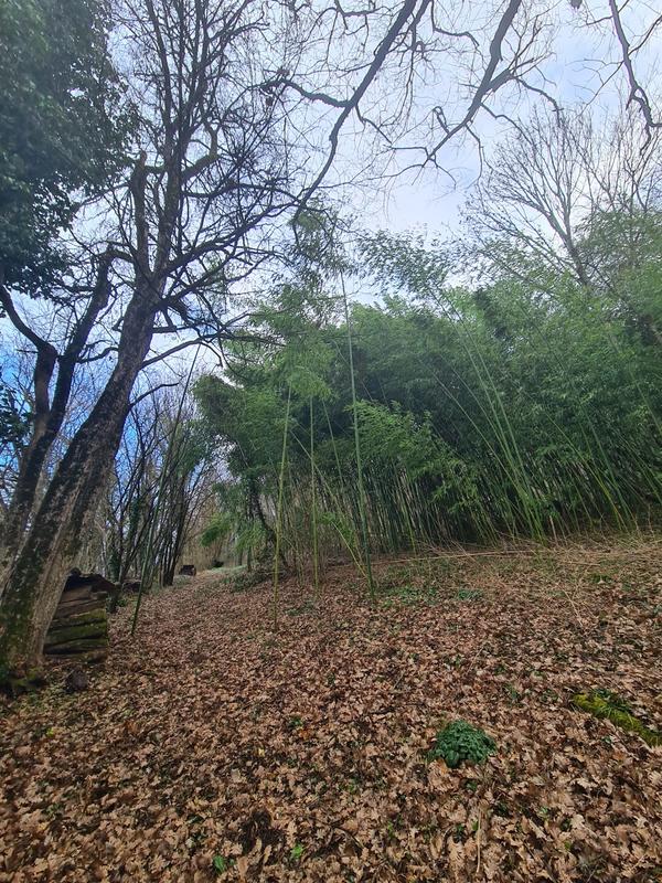 Terrain de loisirs - 26 350 m²