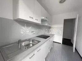 Appartement - 36 m² - 1 pièce