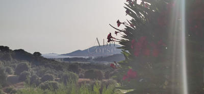 Appartement - 31 m² - 2 pièces