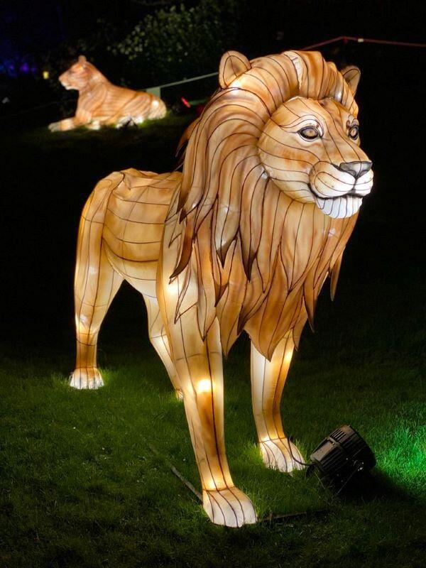 L'Odyssée Lumineuse