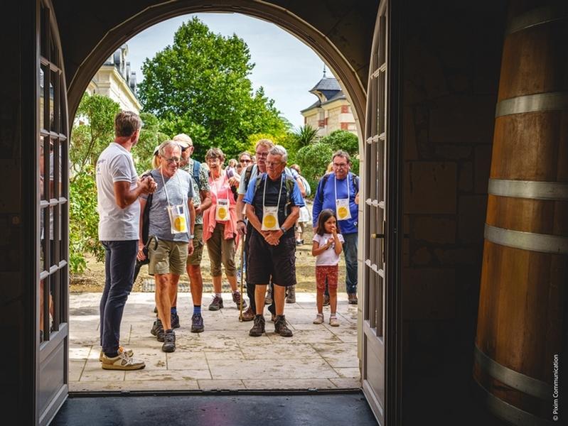 Vignes, Vins et Randos