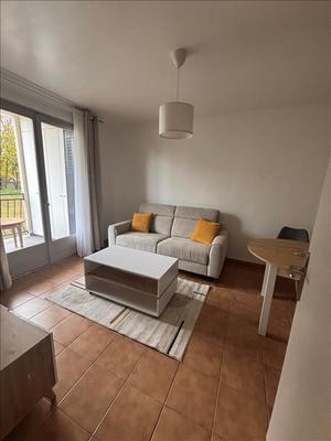 Studio - 25 m² - 1 pièce