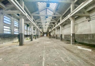 Local d'activité / Entrepôt - 25 000 m²