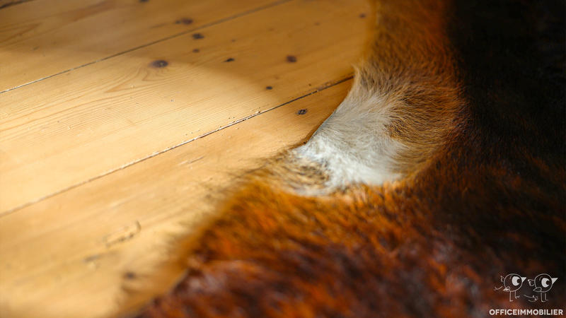 Maison - 233 m² - 7 pièces