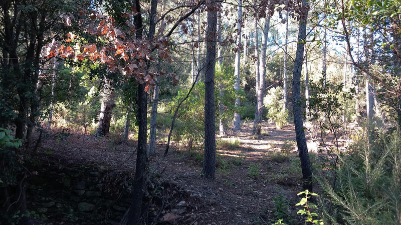 Terrain de loisirs - 31 439 m²