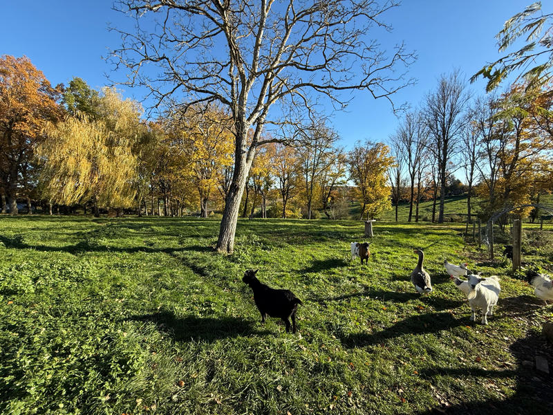 Propriété - 220 m² - 8 pièces