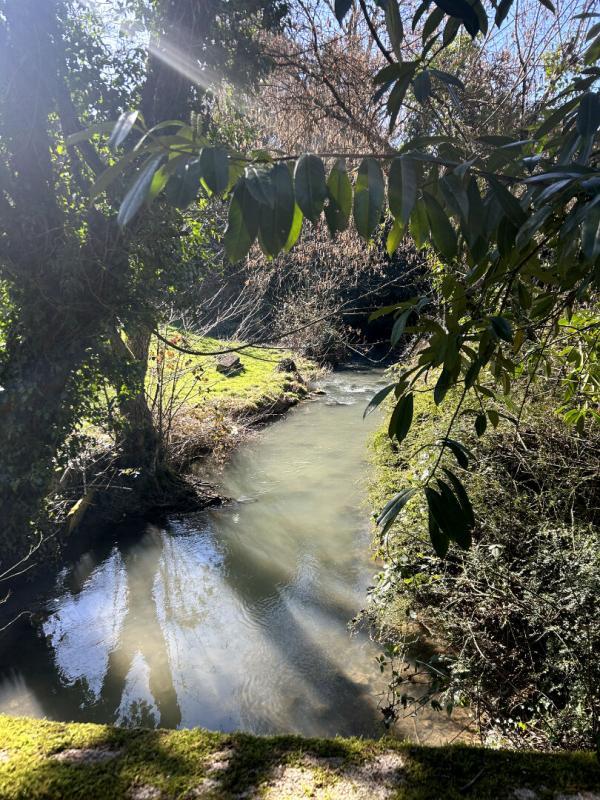 Maison - 233 m² - 6 pièces