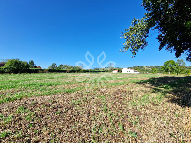 Terrain - 13 541 m²