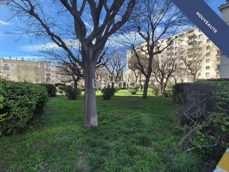 Appartement - 56 m² - 2 pièces