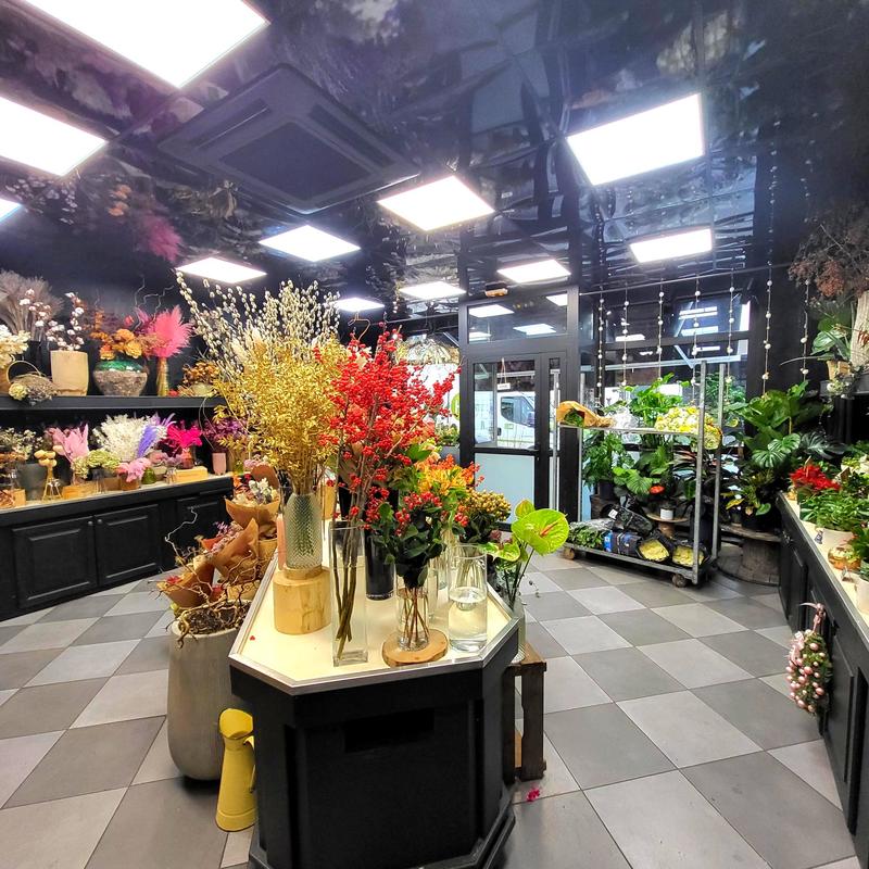 Fonds de commerce - Magasins - 72 m²