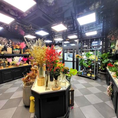 Fonds de commerce - Magasins - 72 m²