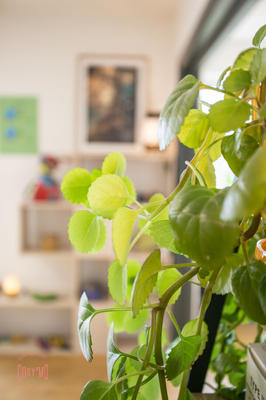 Appartement - 104 m² - 4 pièces