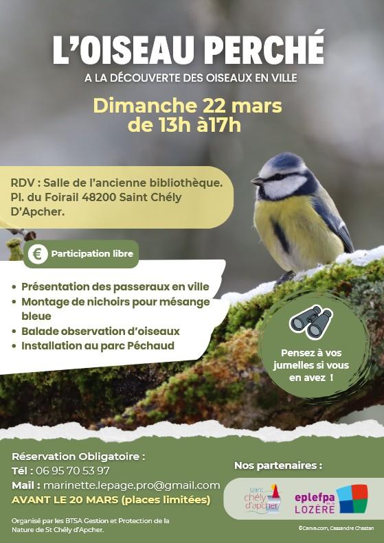 𝐋'𝐎𝐈𝐒𝐄𝐀𝐔 𝐏𝐄𝐑𝐂𝐇𝐄