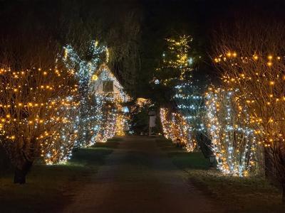 Maison illuminée de Saint-Jean le Blanc