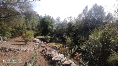 Terrain constructible - 900 m²