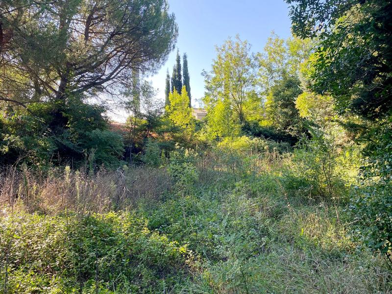 Terrain - 356 m²