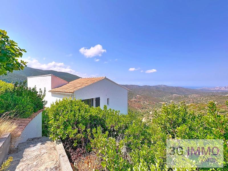 Viager - Maison - 140 m² - 6 pièces