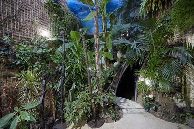 Nocturnes à la Maison Parra