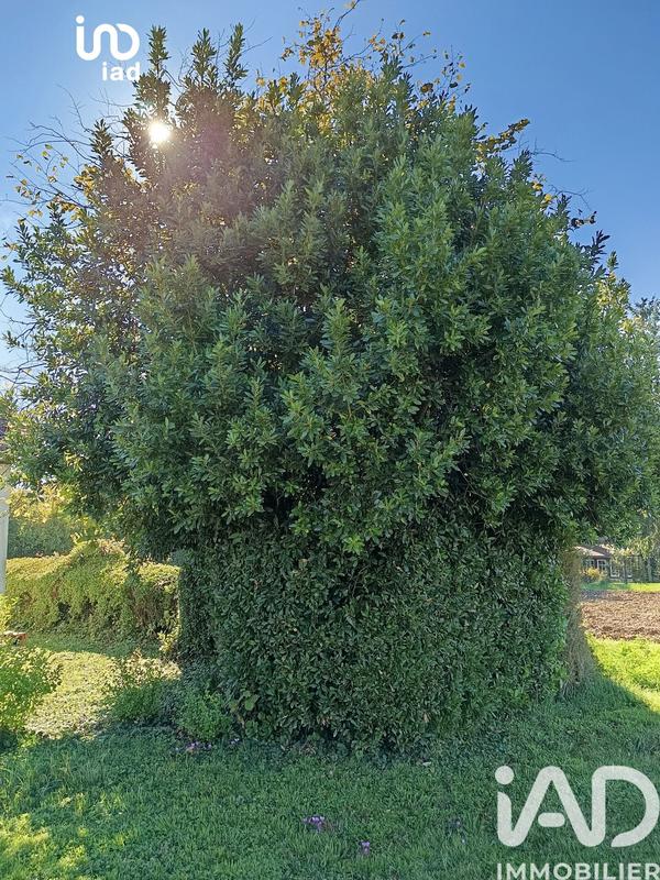 Maison de campagne - 72 m² - 3 pièces