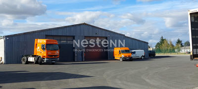 Local d'activité / Entrepôt - 10 000 m²