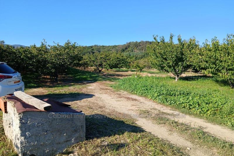 Terrain agricole - 7 121 m²