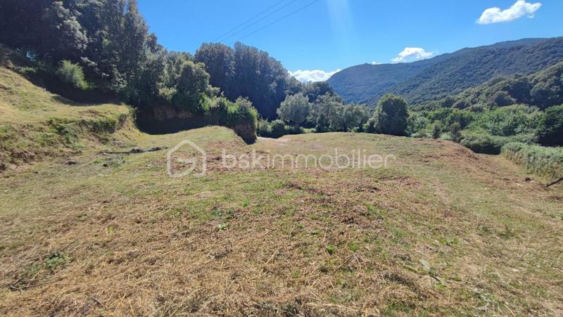 Terrain - 2 000 m²