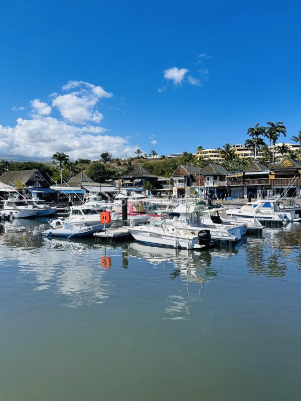 Appartement - 49 m² - 3 pièces