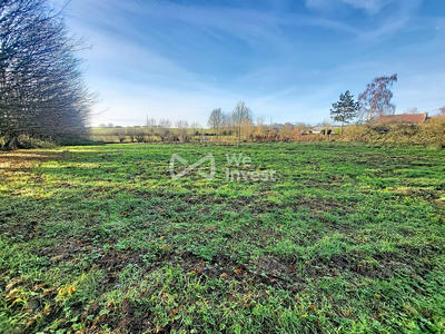 Terrain - 11 965 m²