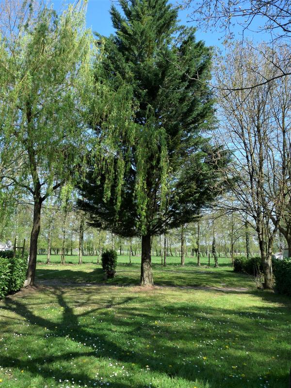 Camping l'Oasis des Dombes