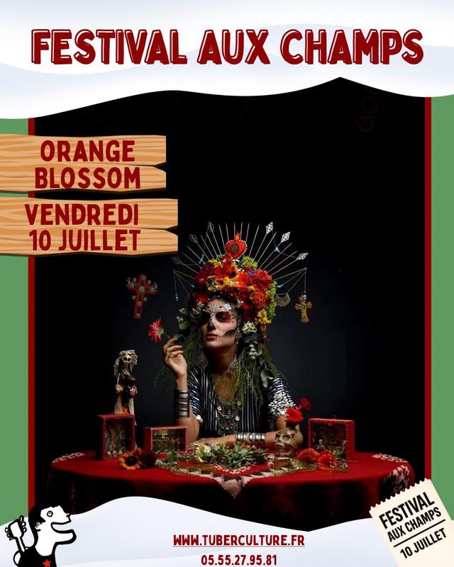 Festival aux Champs : Orange Blosson
