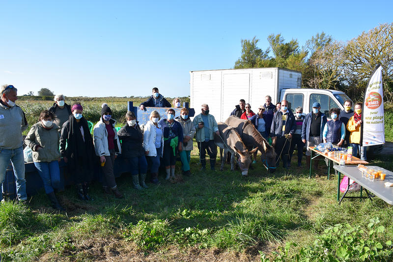 Chantier de nettoyage havre de Surville