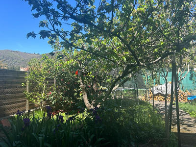 Maison traditionnelle - 120 m² - 5 pièces