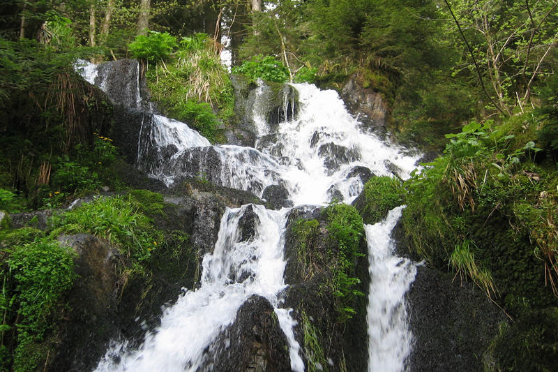 Club Vosgien : le sentier des cascades