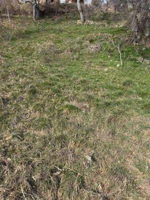 Terrain constructible - 535 m²