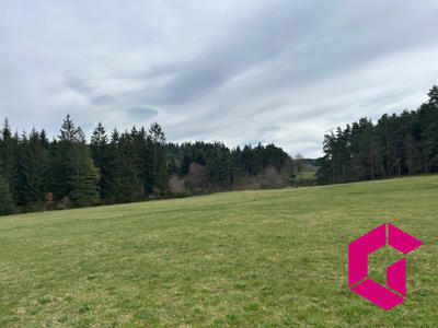 Terrain - 12 256 m²