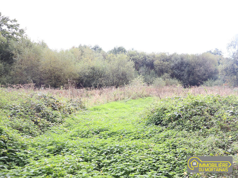 Maison - 40 m² - 2 pièces