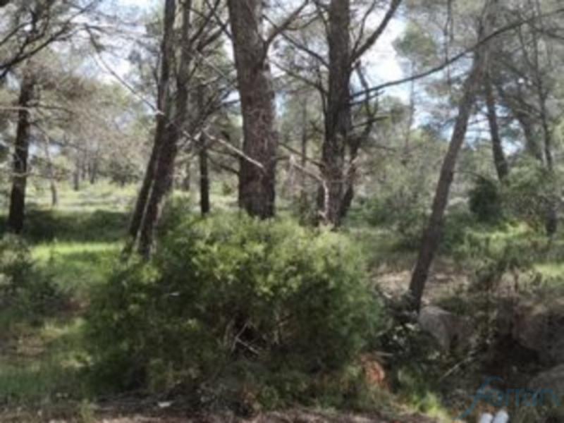 Terrain constructible - 432 m²