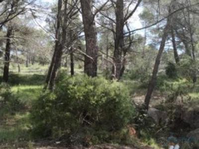 Terrain constructible - 432 m²