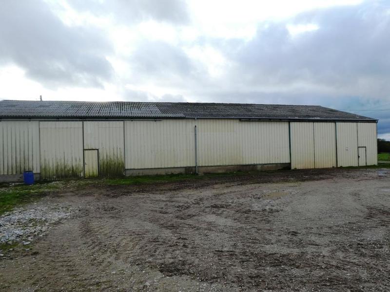 Local d'activité / Entrepôt - 900 m²