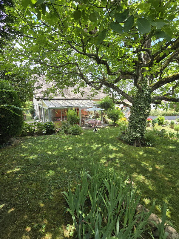 Viager - Maison - 103 m² - 3 pièces