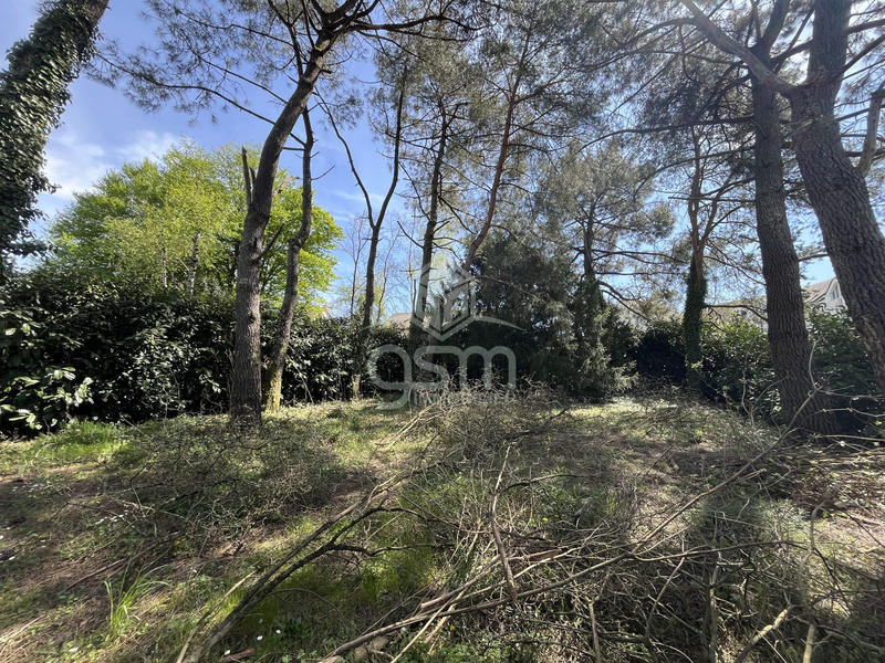 Terrain - 707 m²