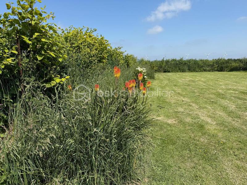 Corps de ferme - 145 m² - 6 pièces