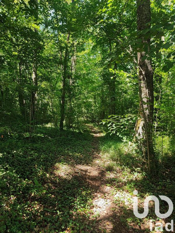 Maison de campagne - 227 m² - 7 pièces