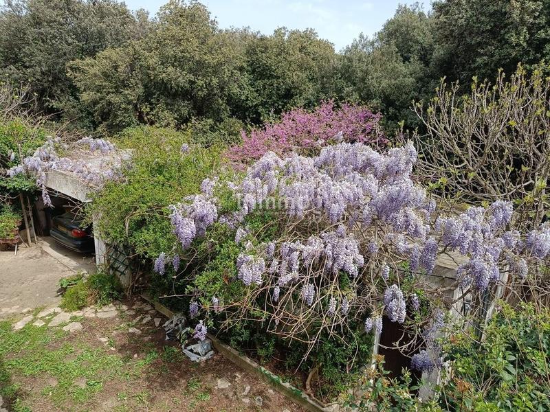 Maison - 195 m² - 6 pièces