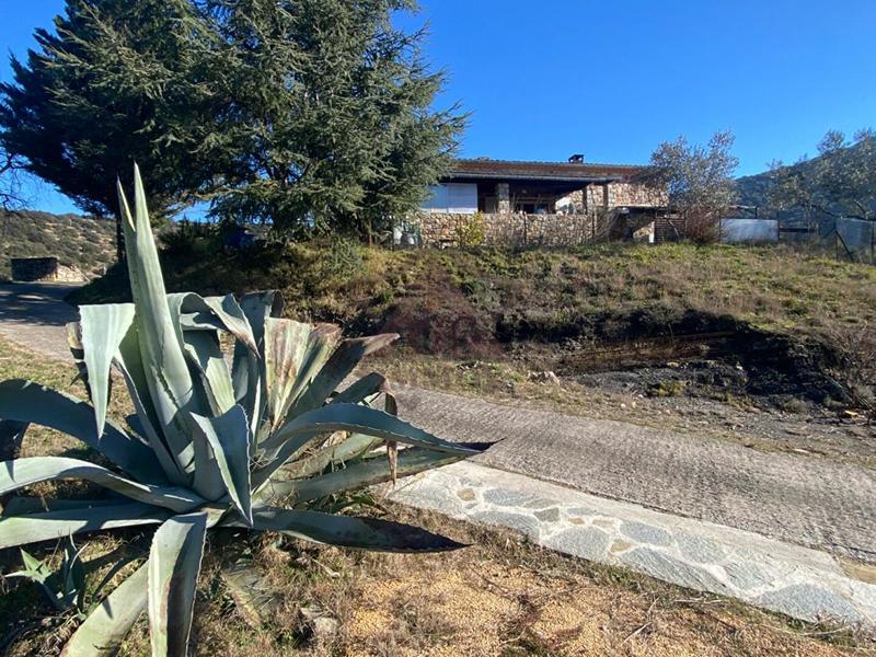 Maison - 117 m² - 5 pièces