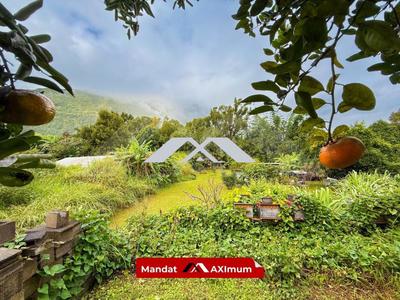 Maison - 400 m² - 10 pièces