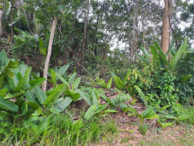 Terrain constructible - 3 444 m²