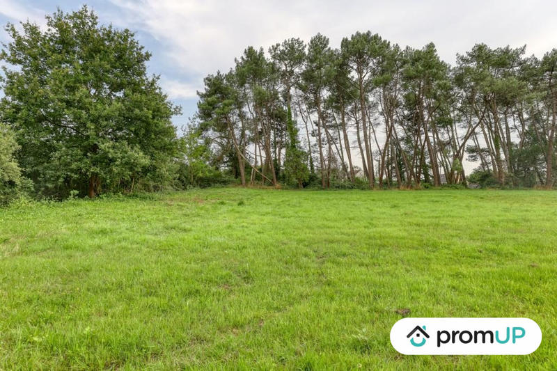 Terrain de loisirs - 982 m²