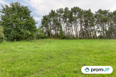 Terrain de loisirs - 982 m²