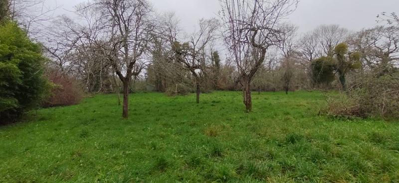 Maison ancienne - 130 m² - 5 pièces